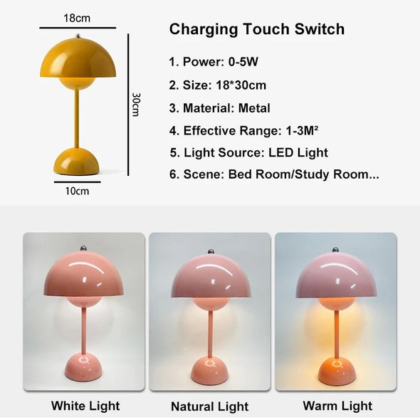 LED Desk Lamp